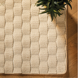 Shop Sculptured Weave Rug